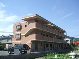 スターマンションの画像