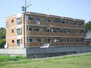 ユーミーアルタイルIIの画像