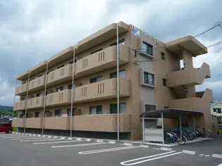 サンパティーク ソヨの画像