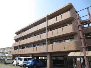 レ フレール イタキチの画像