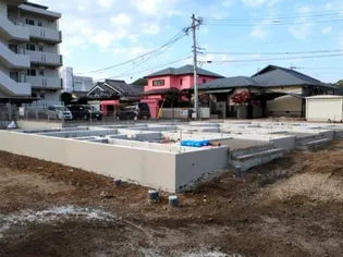 ベルオリーブの画像