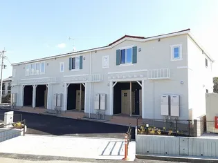 フェイバー フォレスト IIの画像