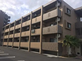 アンシャンテYの画像