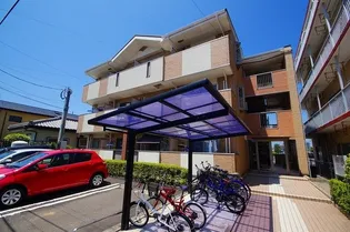 シールド青葉の画像