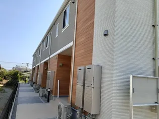 PLAIN 桃の木の画像