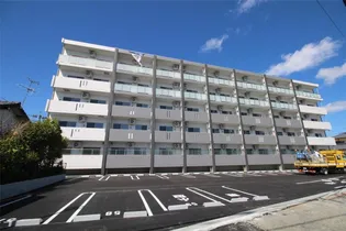 DIOSA DE SOLの画像