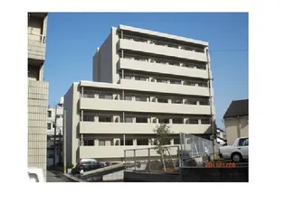 チェレステの画像