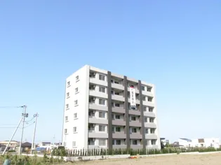 BROOK'S SQUAREIIの画像