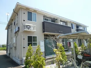 ハナミズキ2の画像