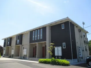 ハナミズキIの画像