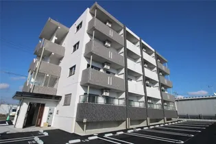 PISSENLIT2の画像