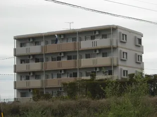 S ASAGIRIの画像