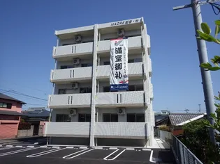 MADRE関谷 光の画像