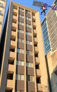 アモンフォンテーヌの画像