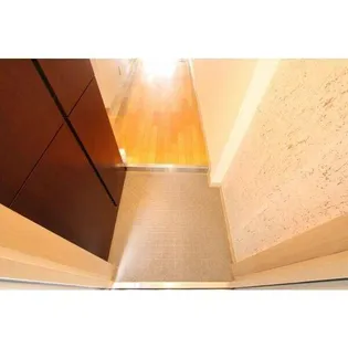 ジラールペルゴ【7階】の玄関