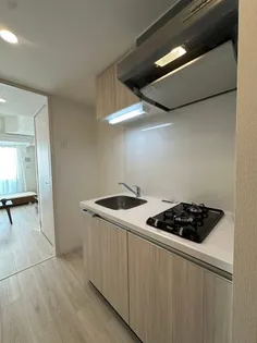 メイクス城西レジデンス【2階】のキッチン