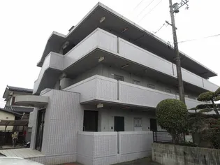 シャローム村岡の画像