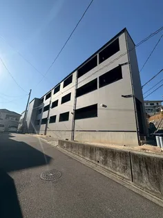 メイユールZAKI NO 12の画像