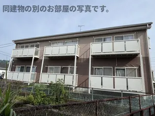 SURPLUS DAIKANの画像