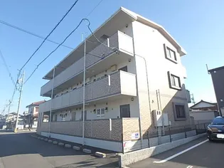 センテリヤールの画像