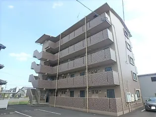 ドルフィンの画像