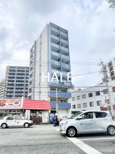 VOLARE AQUA PLACEの画像