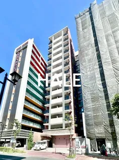 Coccinelle(コクスィネル)【503号室】の外観