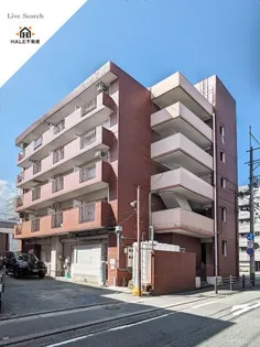 ベアービル【203号室】の外観