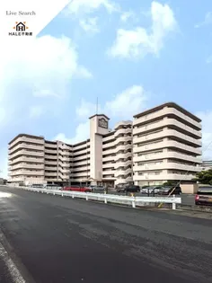 仮)東区松田3丁目マンション【506号室】の外観