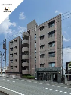 パロリブルの画像