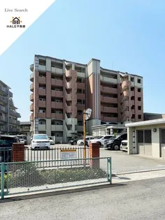 エクセレンテシャルムの画像