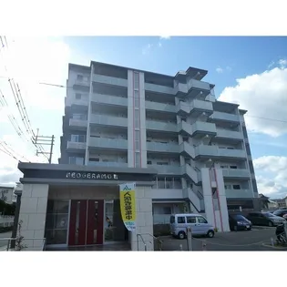 ネオジェラーモⅢの画像