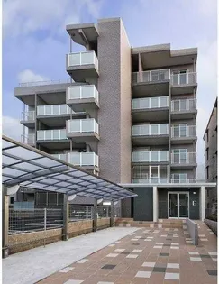 サフランサンクの画像