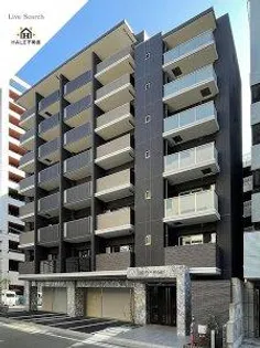 LELION KAWAKAMIの画像