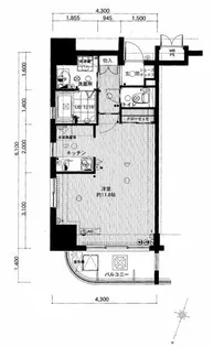 サヴォイテンジンクォーター【411号室】の間取り