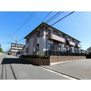 グレイスエーリの画像