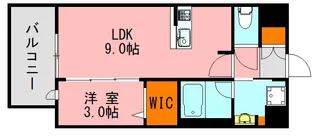 LANDIC Y138【8階】の間取り