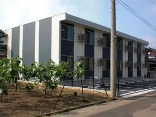 レオネクストアンジェAの画像