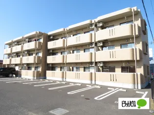 ヒルズ石塚【202号室】の外観