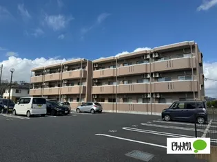ヒルズ知手の画像