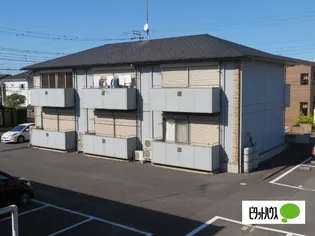 ニューポート八番館【101号室】の外観