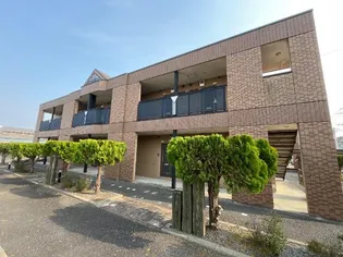 エバーグリーンの画像