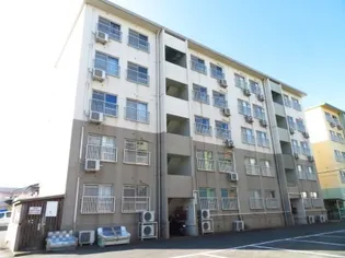 プリムローズⅢの画像