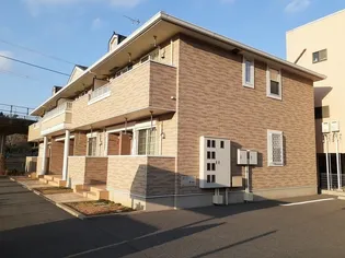 プリムローズの画像