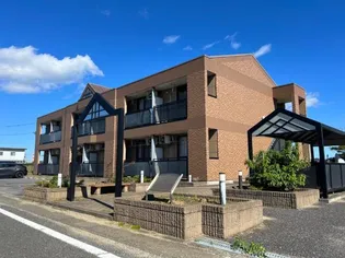 プリムロウズの画像