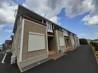 シンシアの画像