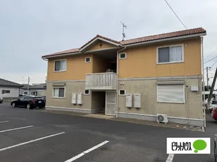 カサブランカの画像