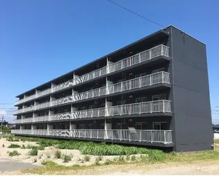 INFINA SOUTH1の画像