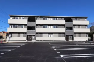 かすみそうの画像