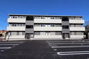かすみそうの画像